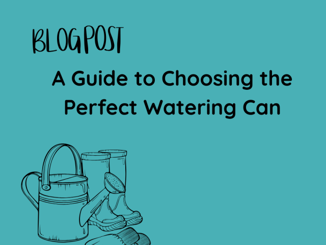 A Guide to Choosing the Perfect Watering Can