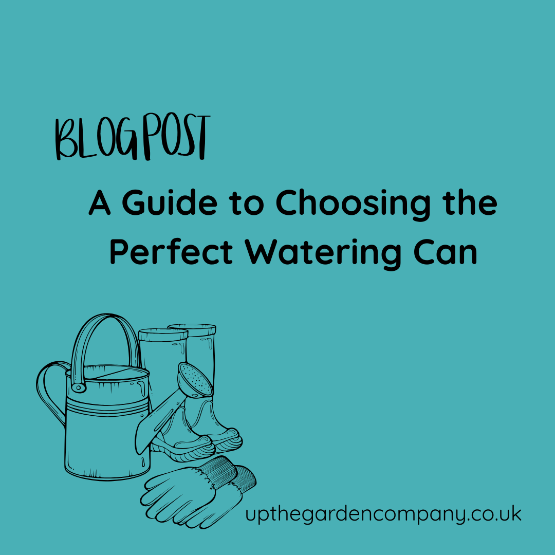 A Guide to Choosing the Perfect Watering Can