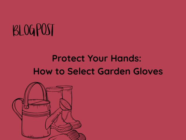 Protect Your Hands: How to Select Garden Gloves
