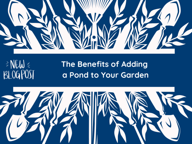 The Benefits of Adding a Pond to Your Garden