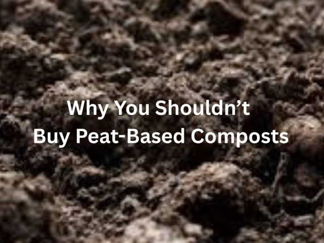 Why You Shouldn’t Buy Peat-Based Composts