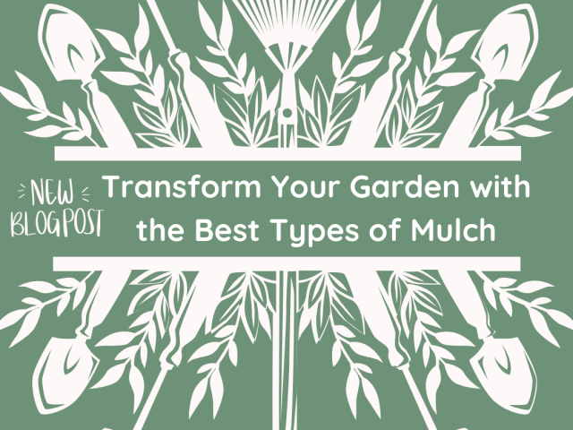 The Incredible Benefits of Mulching for Your Garden
