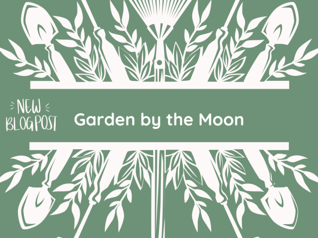 Garden by the Moon?