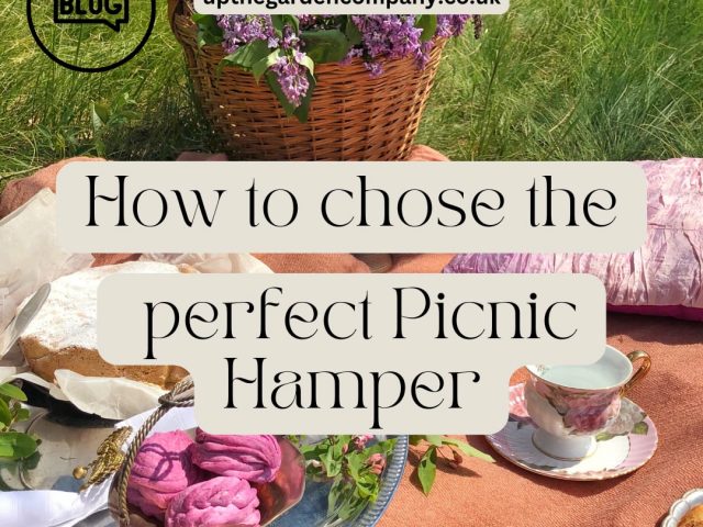 How to Choose the Perfect Picnic Hamper