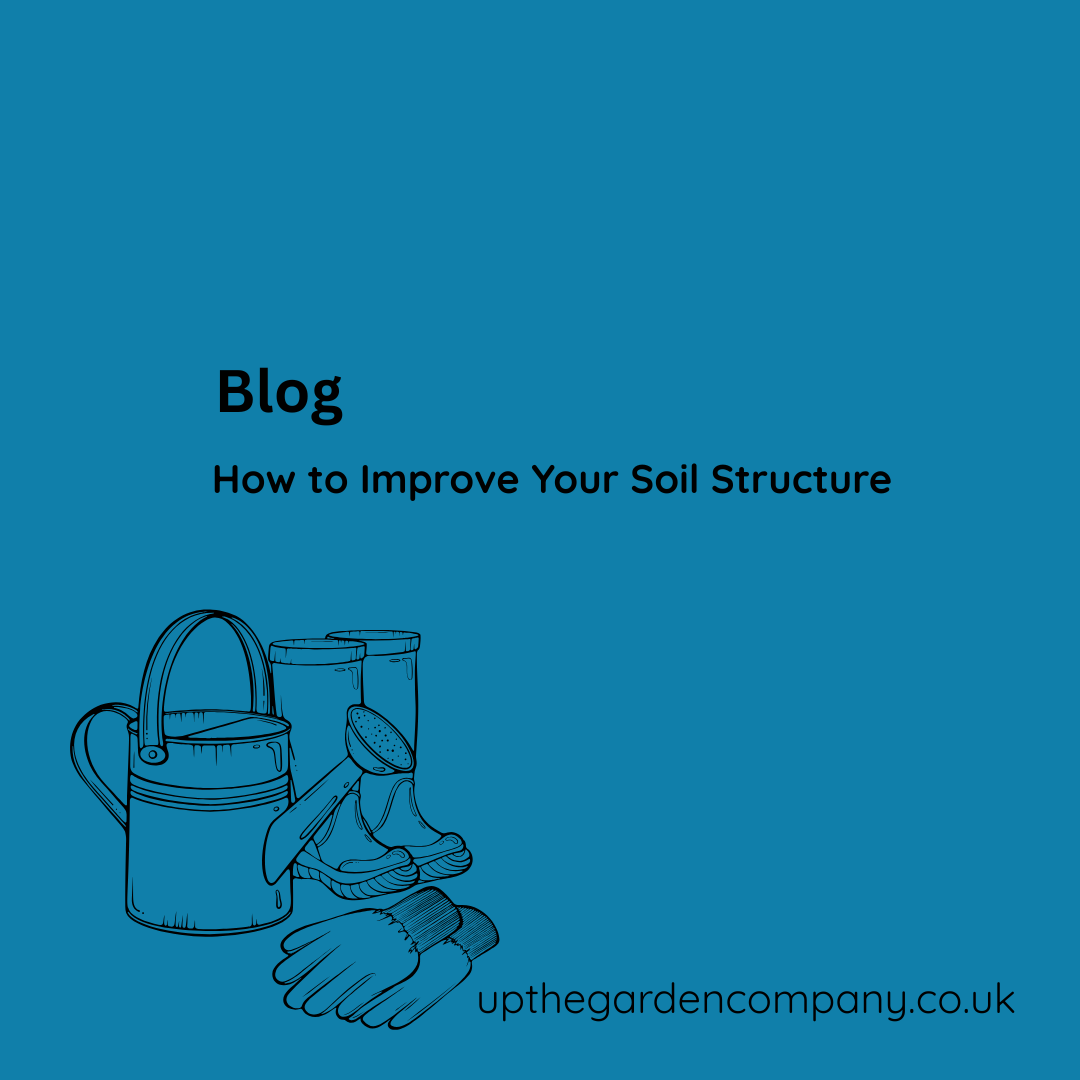 How to Improve Your Soil Structure