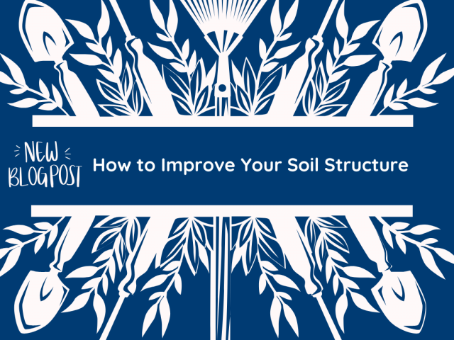  How to Improve Your Soil Structure