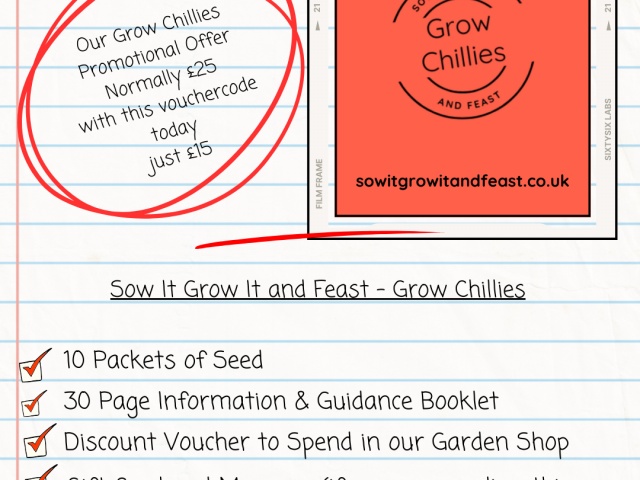 How to Preserve Chillis and Extend Their Shelf Life