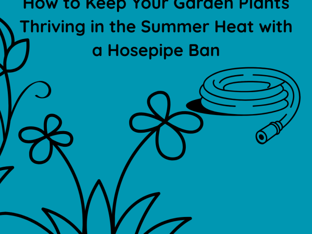 How to Keep Your Garden Plants Thriving in the Summer Heat with a Hosepipe Ban