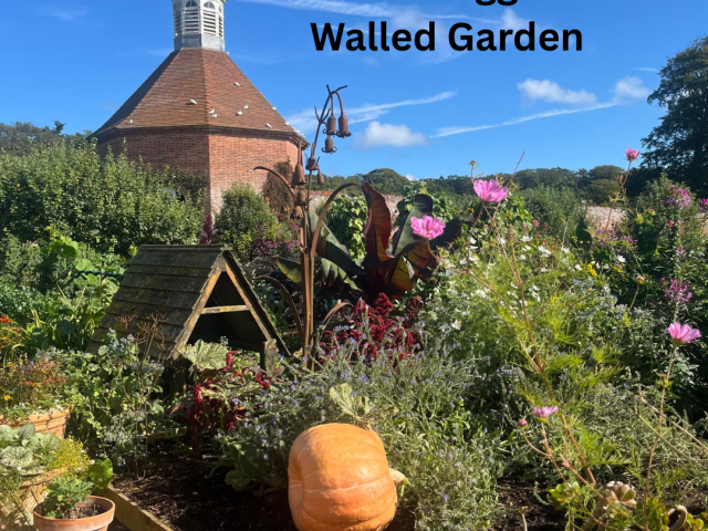 Felbrigg Hall Norfolk – Walled Garden