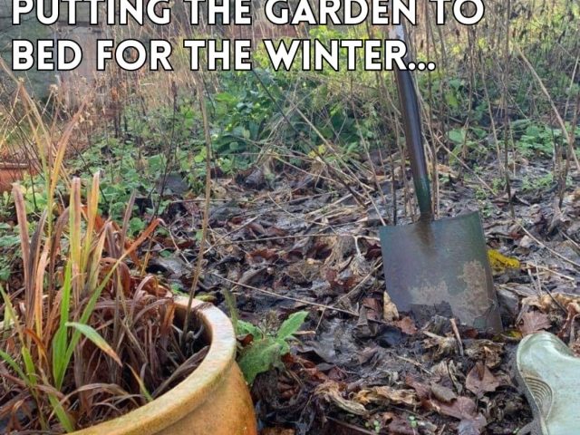 Putting your garden to bed for the winter!