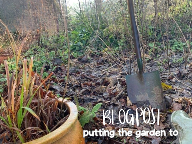Putting your garden to bed for the winter!