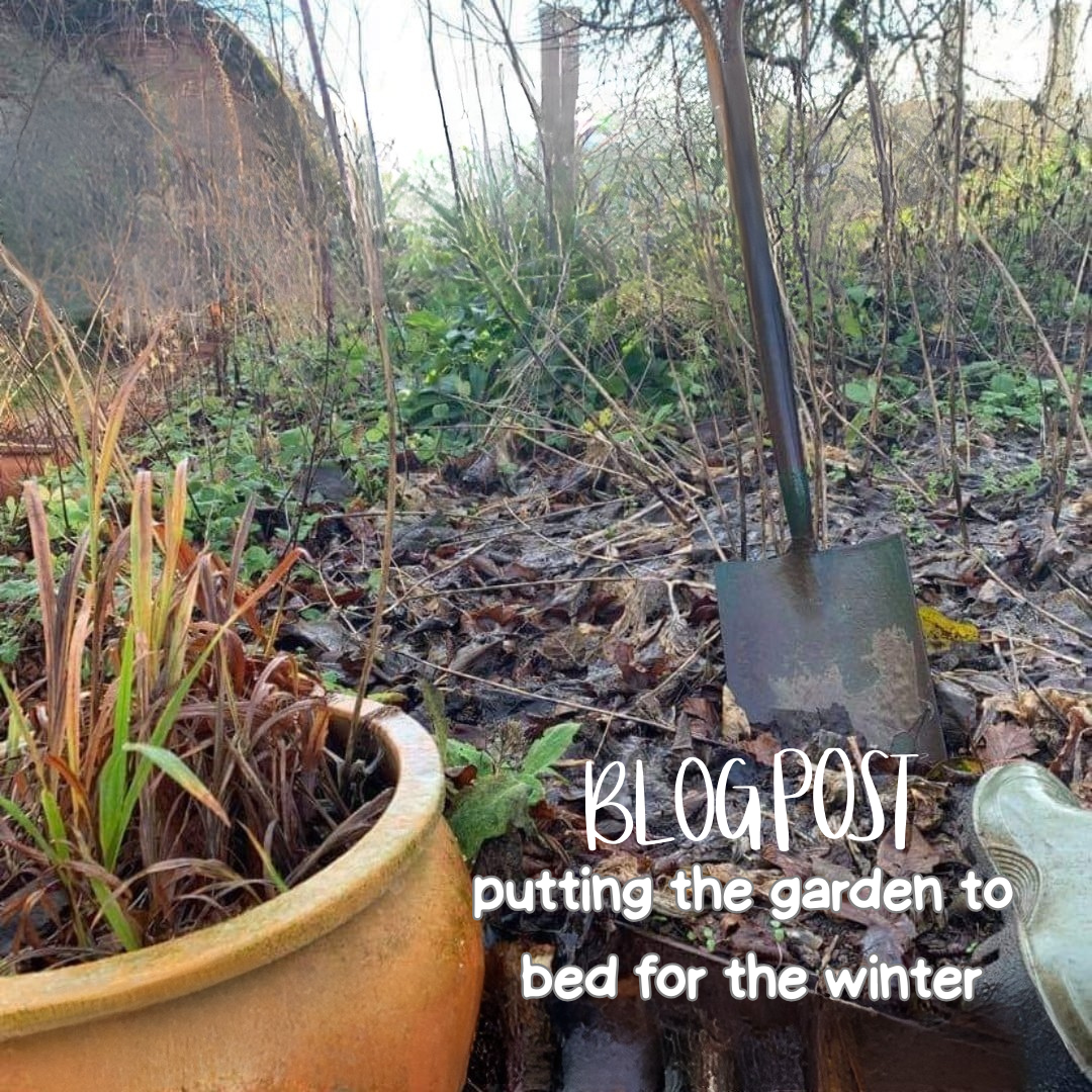 Putting your garden to bed for the winter!