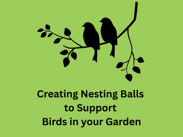 Creating Nesting Balls to Support Birds in your Garden