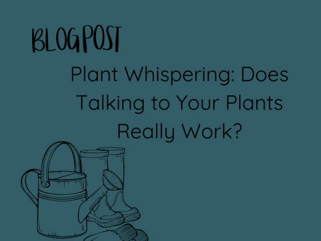 Plant Whispering: Does Talking to Your Plants Really Work?