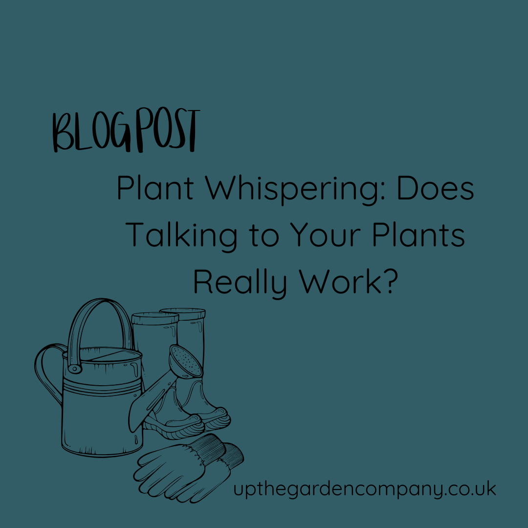 Plant Whispering: Does Talking to Your Plants Really Work?