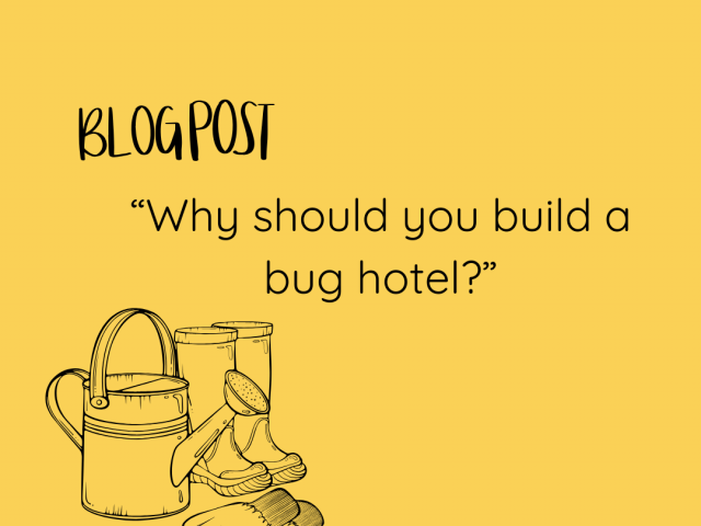 “Why should you build a bug hotel?”