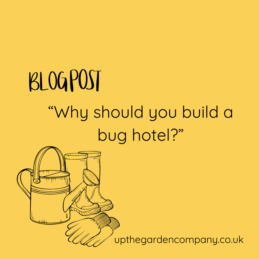 “Why should you build a bug hotel?”