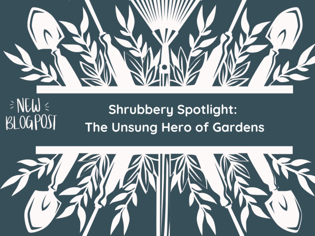 Shrubbery Spotlight: The Unsung Hero of Gardens