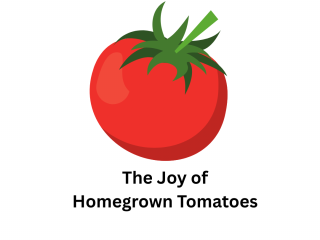 Life’s Greatest Pleasure: The Joy of Homegrown Tomatoes