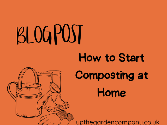 How to Start Composting at Home