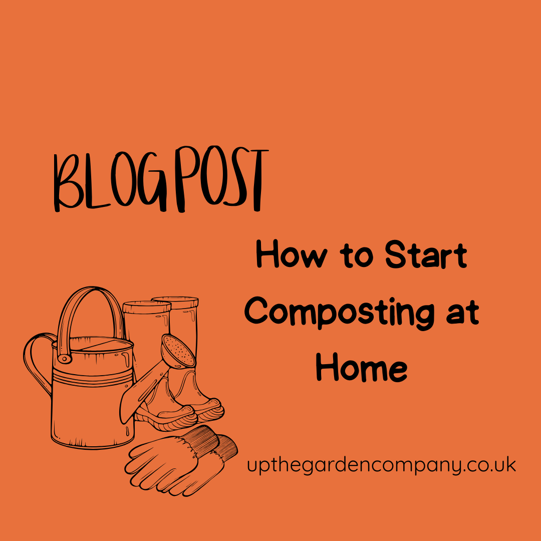 How to Start Composting at Home