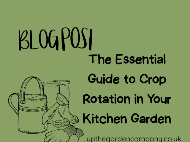 The Essential Guide to Crop Rotation in Your Kitchen Garden