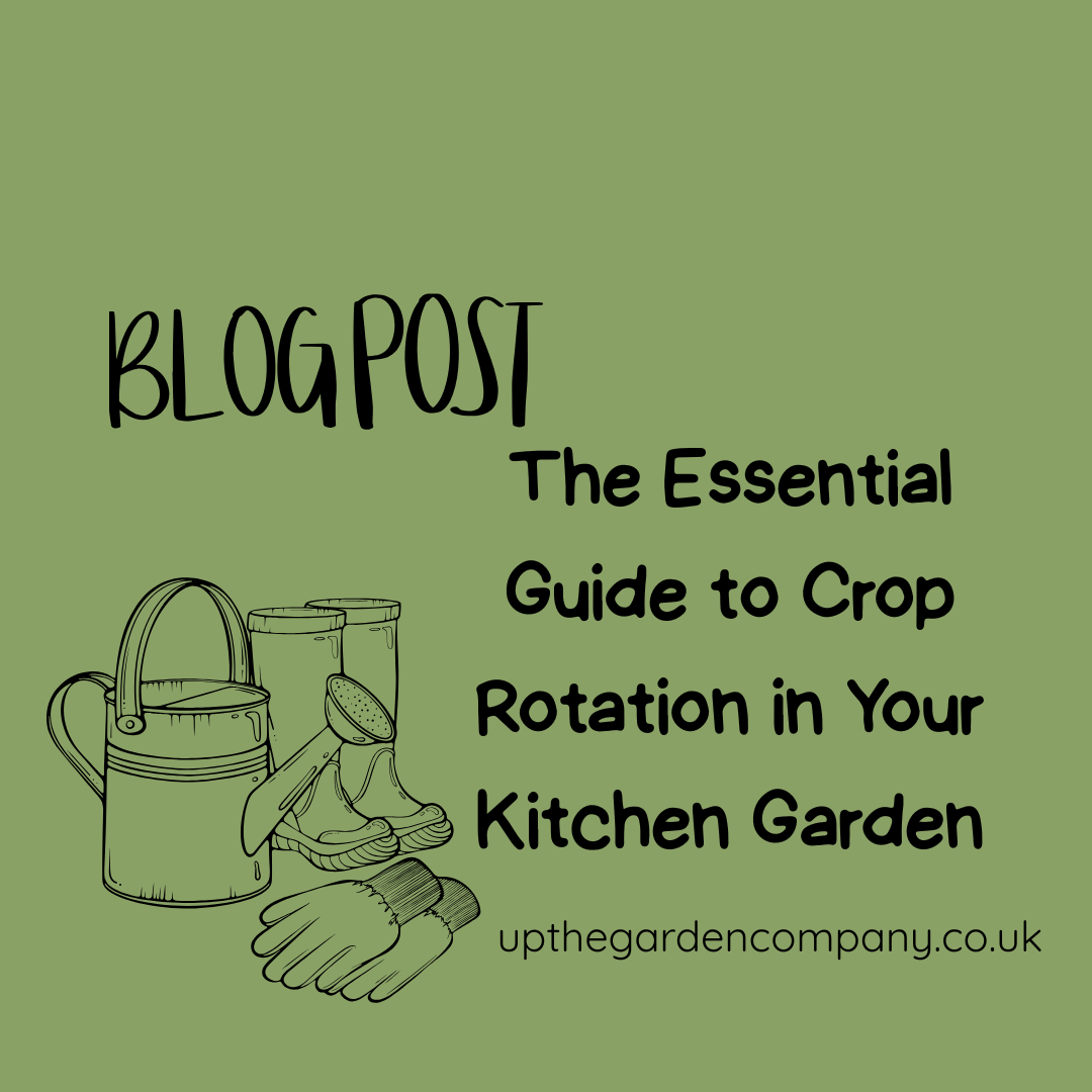 The Essential Guide to Crop Rotation in Your Kitchen Garden