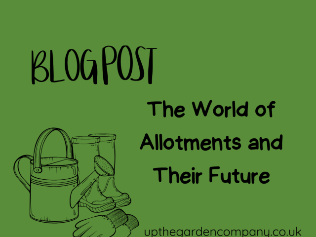 The World of Allotments and Their Future