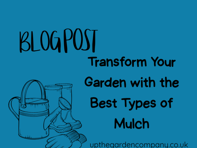 Transform Your Garden with the Best Types of Mulch
