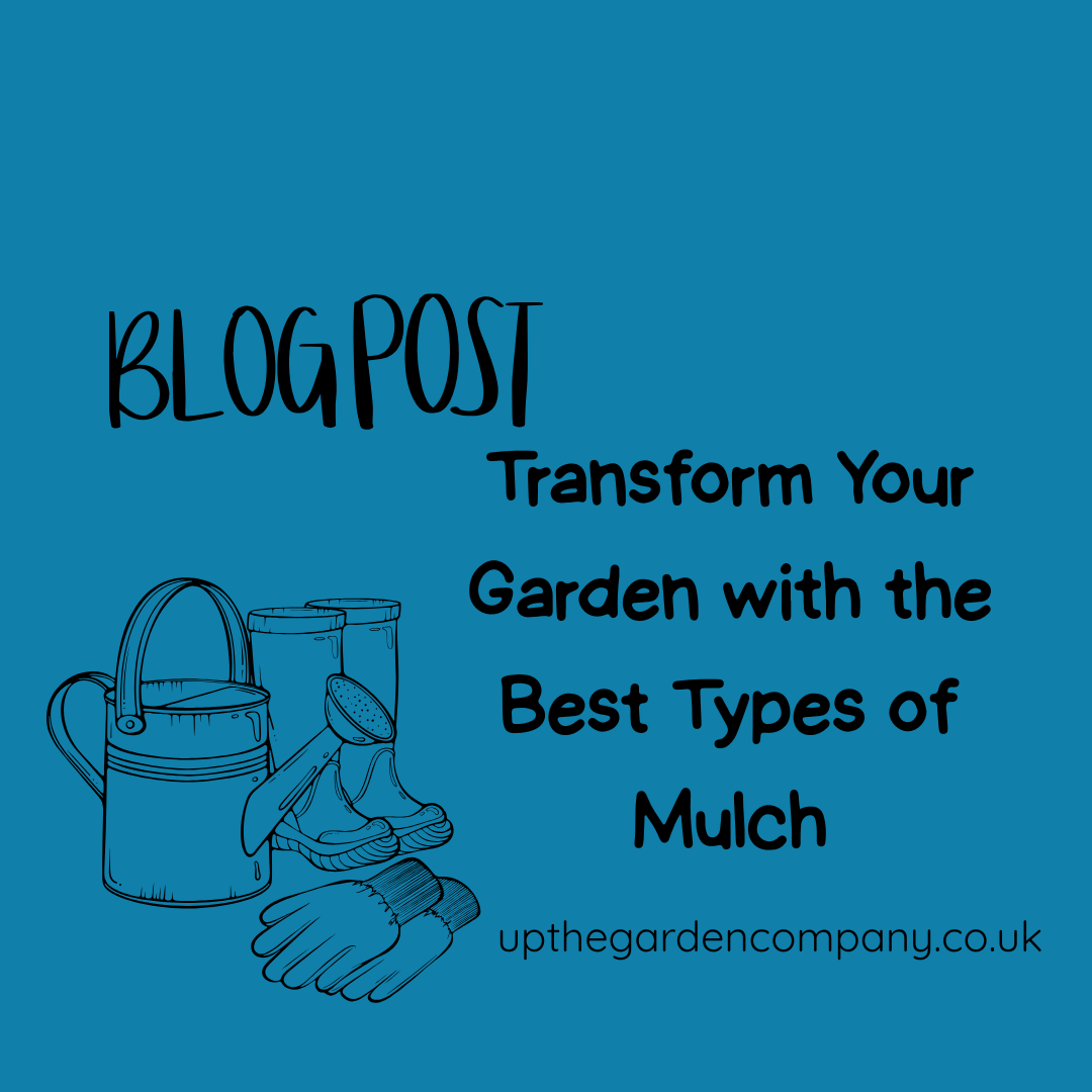 Transform Your Garden with the Best Types of Mulch