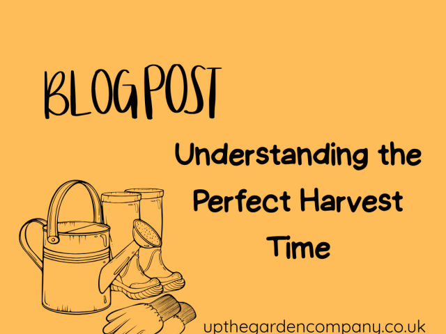 Understanding the Perfect Harvest Time