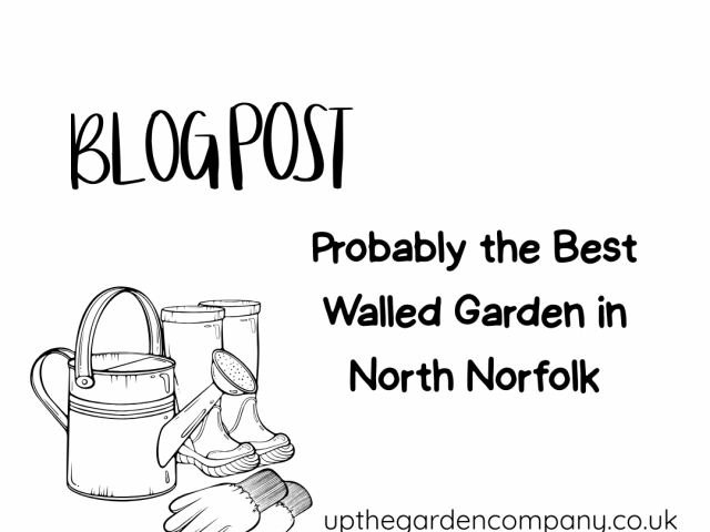 Probably the Best Walled Garden in North Norfolk