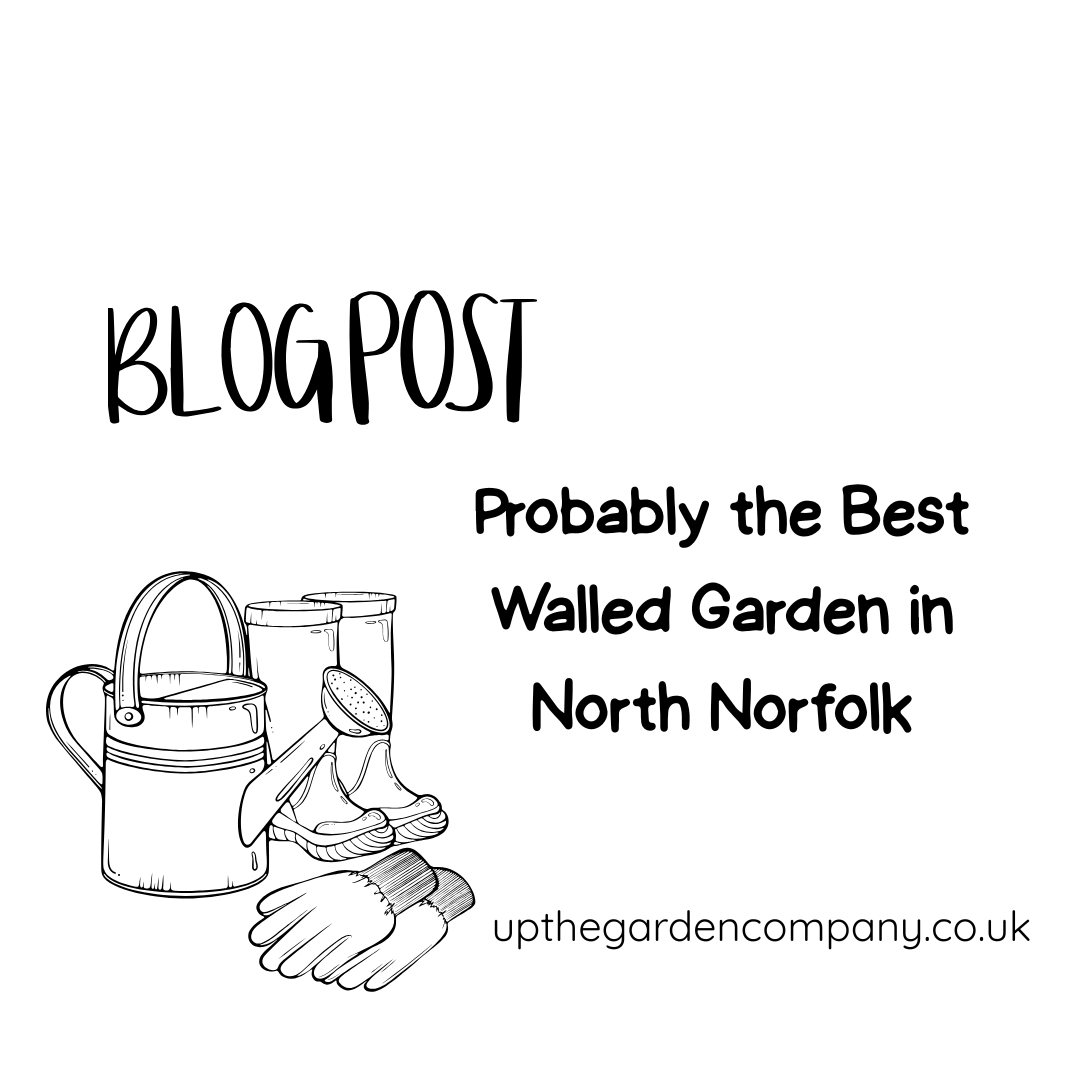 Probably the Best Walled Garden in North Norfolk