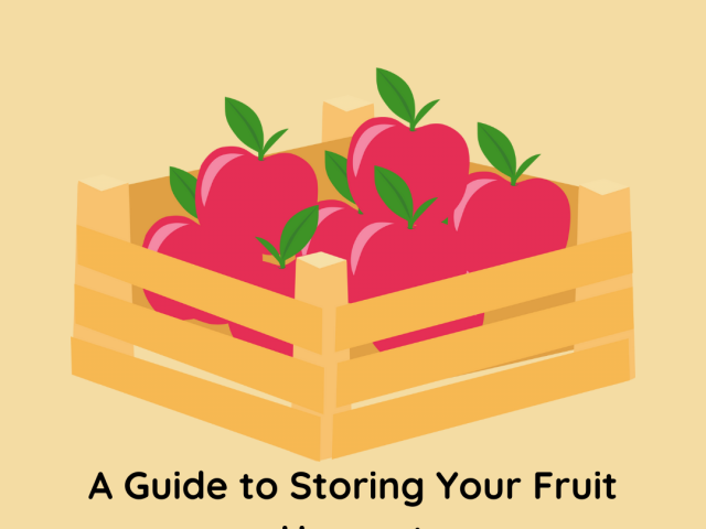 A Guide to Storing Your Fruit Harvest