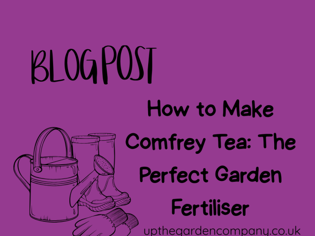 How to Make Your Own Liquid Fertiliser from Comfrey