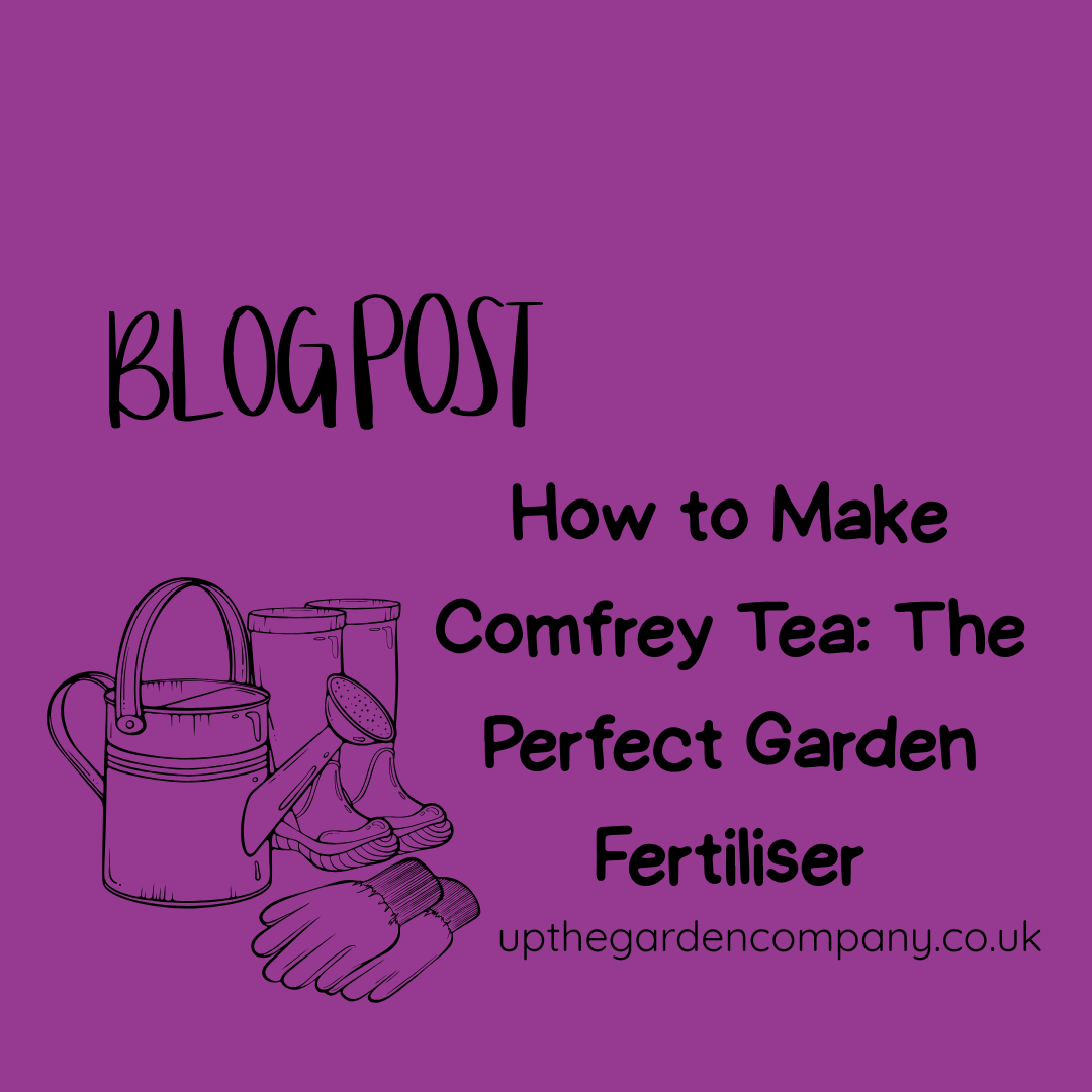 How to Make Your Own Liquid Fertiliser from Comfrey