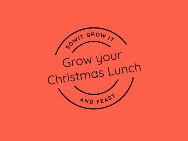 Homegrown Christmas Lunch: Harvesting the Perfect Vegetables for a Memorable Feast