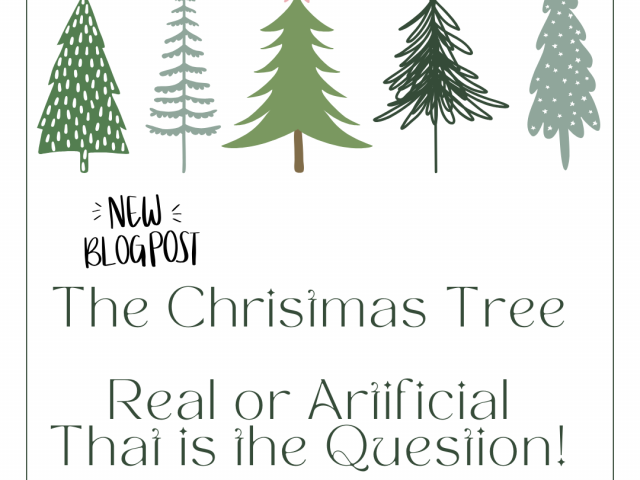 Sustainability Debate: Artificial Christmas Tree vs Real Christmas Tree   