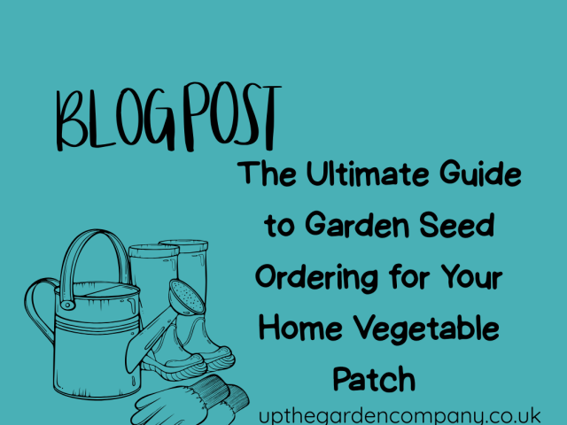 The Ultimate Guide to Garden Seed Ordering for Your Home Vegetable Patch 
