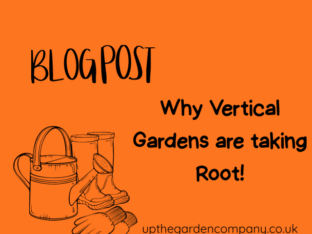 Why Vertical Gardens Are Taking Root  