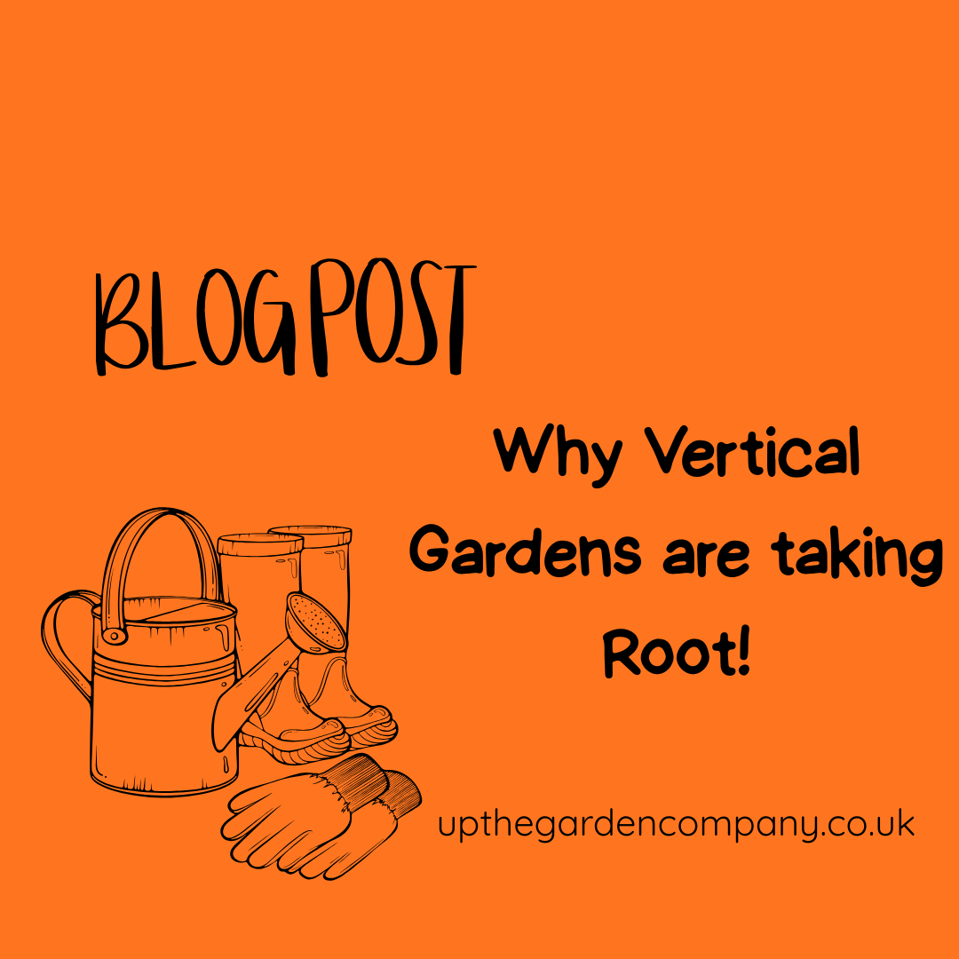 Why Vertical Gardens are Taking Root.