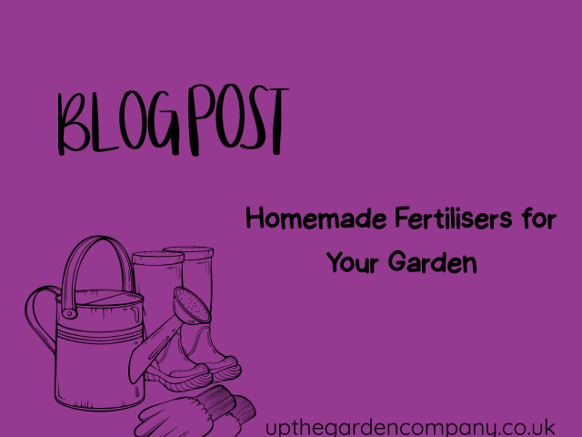 Homemade Fertilisers for Your Garden