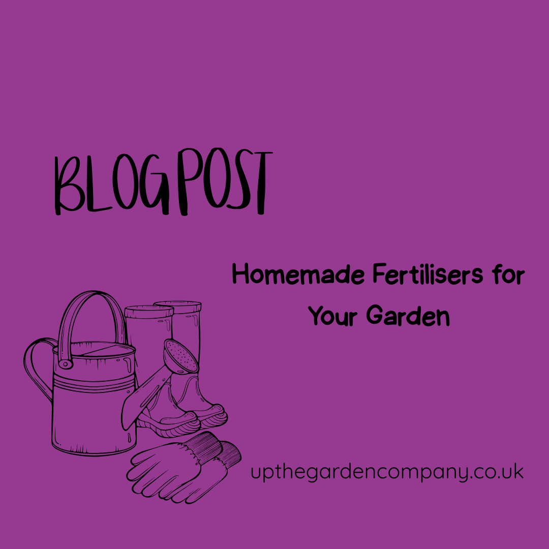Homemade Fertilisers for your Garden.