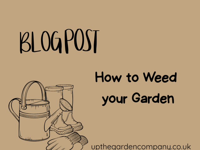 How to Weed your Garden