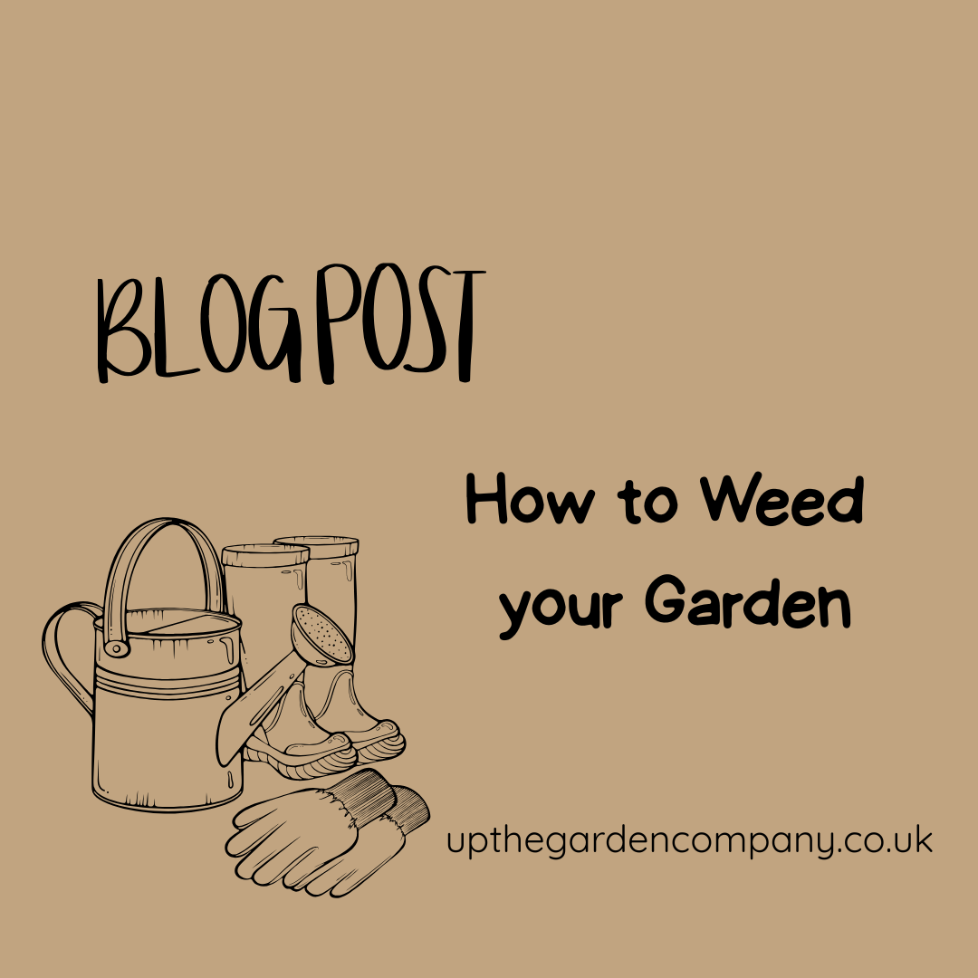 How to Weed your Garden