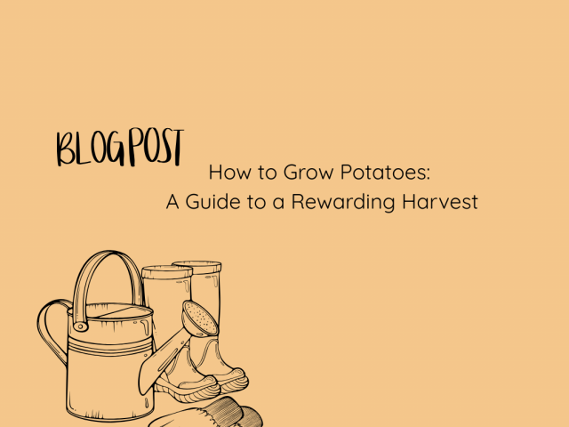 How to Grow Potatoes: A Guide to a Rewarding Harvest