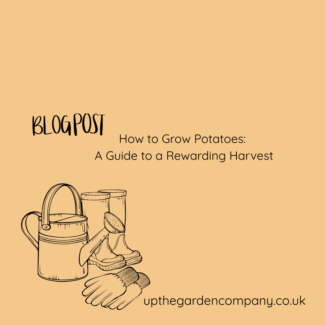 How to Grow Potatoes: A Guide to a Rewarding Harvest