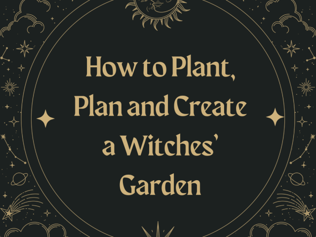 How to Plant, Plan and Create a Witches’ Garden