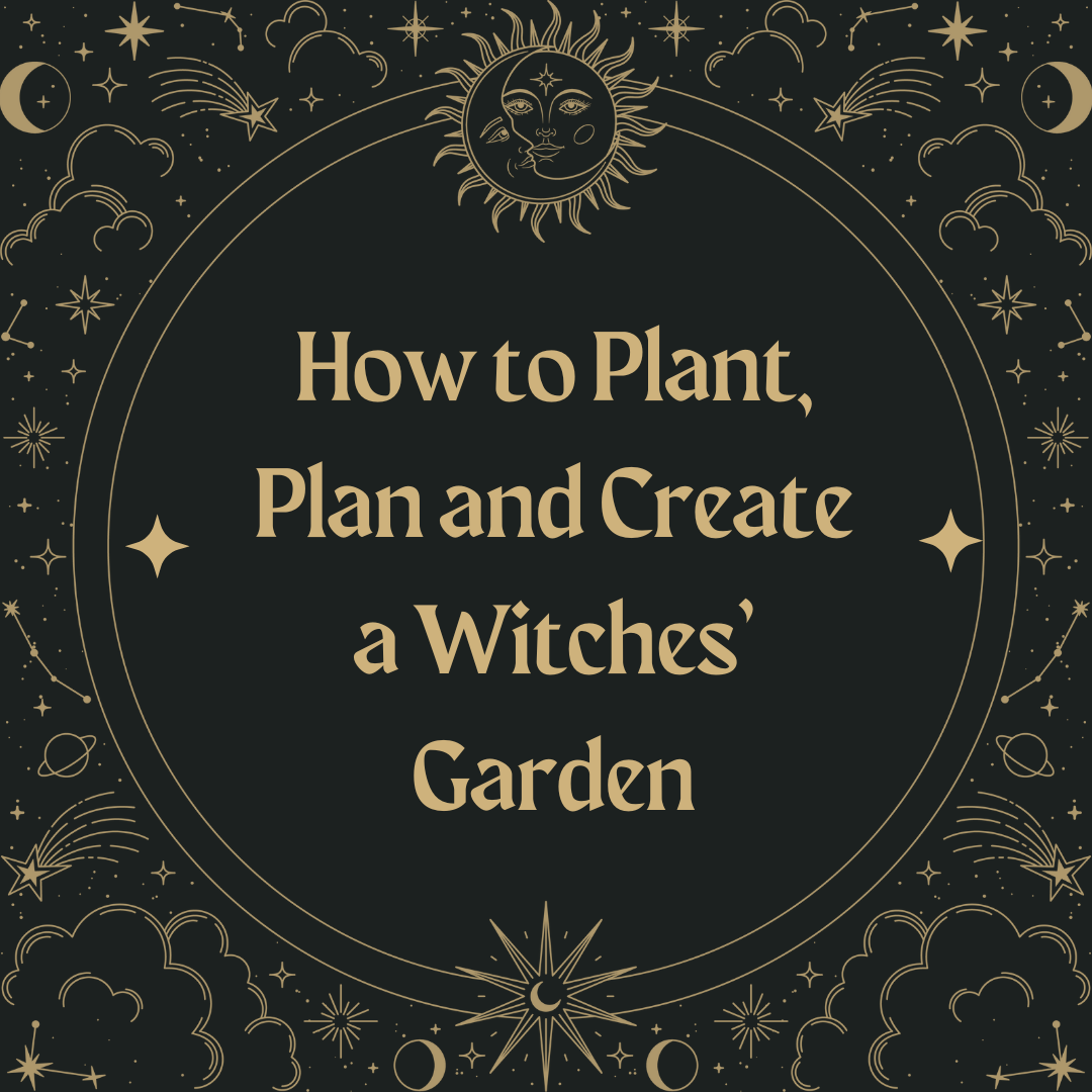 How to Plant, Plan and Create a Witches’ Garden