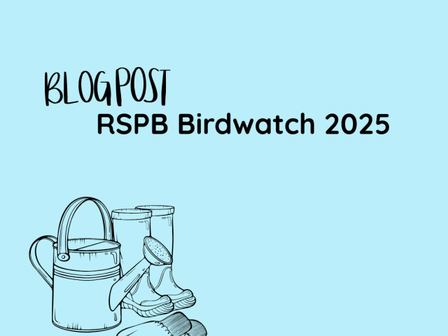 RSPB Birdwatch 2025